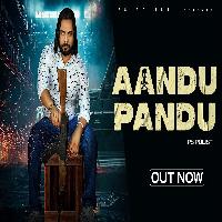 Aandu Pandu New Haryanvi Song 2024 By Ps Polist Poster